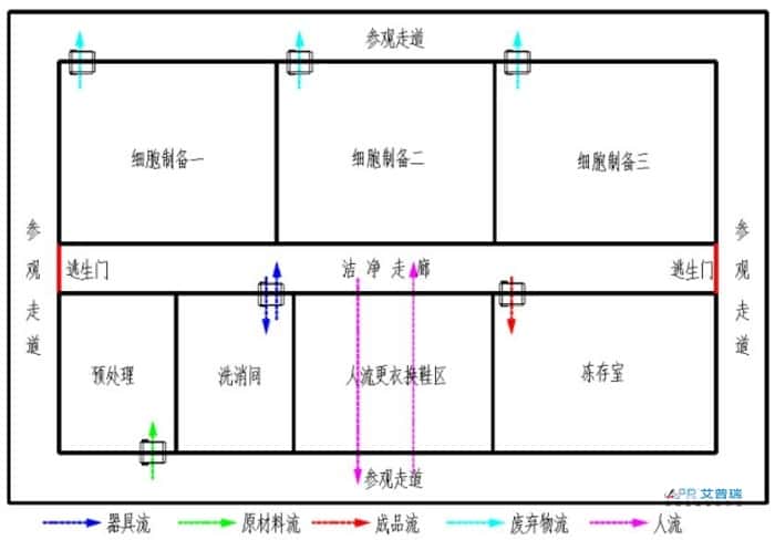 干细胞实验室布局怎么设计？