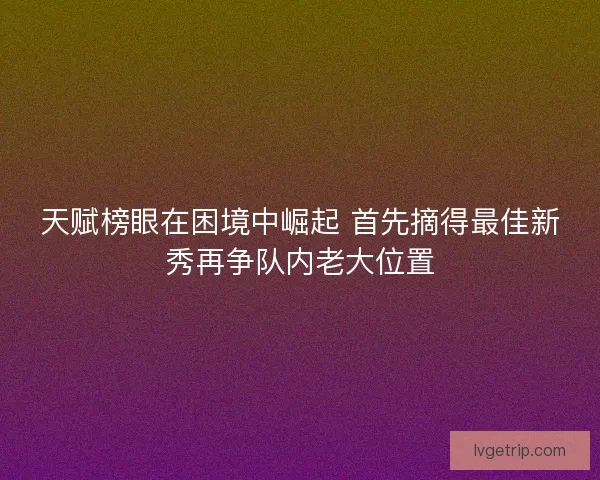 天赋榜眼在困境中崛起 首先摘得最佳新秀再争队内老大位置